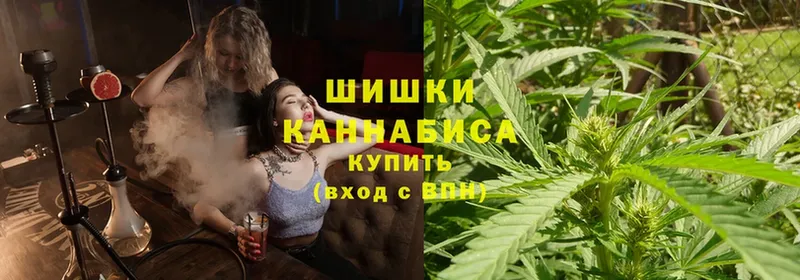 Марихуана Bruce Banner  Шагонар 